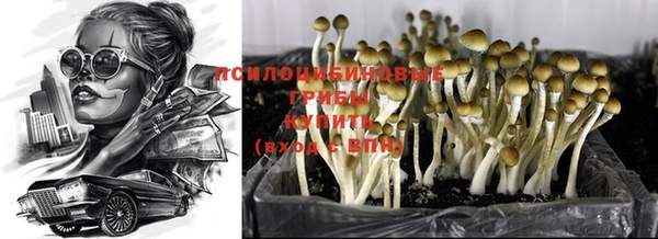 метадон Аркадак