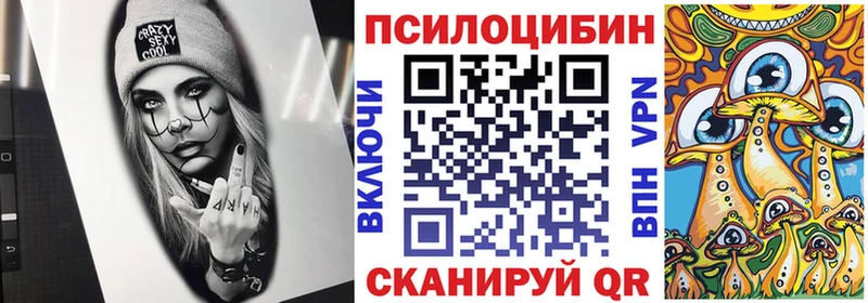 Галлюциногенные грибы Magic Shrooms  Правдинск 